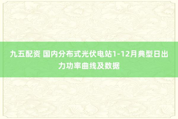 九五配资 国内分布式光伏电站1-12月典型日出力功率曲线及数据