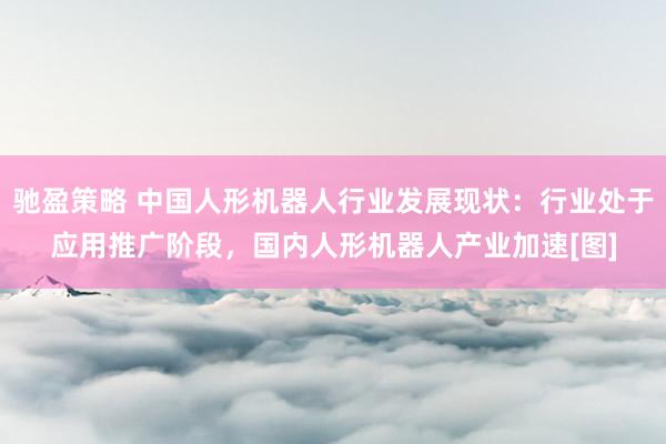 驰盈策略 中国人形机器人行业发展现状：行业处于应用推广阶段，国内人形机器人产业加速[图]