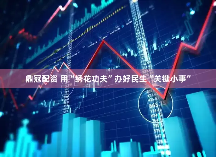 鼎冠配资 用“绣花功夫”办好民生“关键小事”